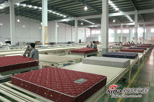 余霆 专业 才能让品牌活的更长久