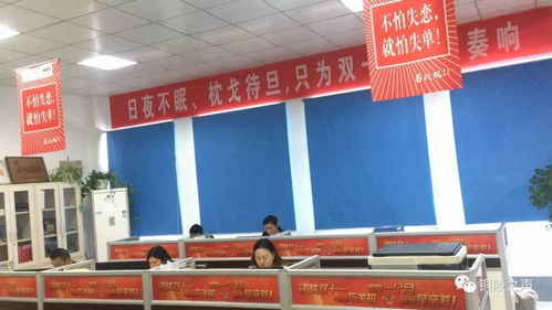 我市农特产品企业积极备战双十一