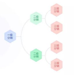 真购物商城全新版本深度揭秘 以用户为中心的极简设计革命